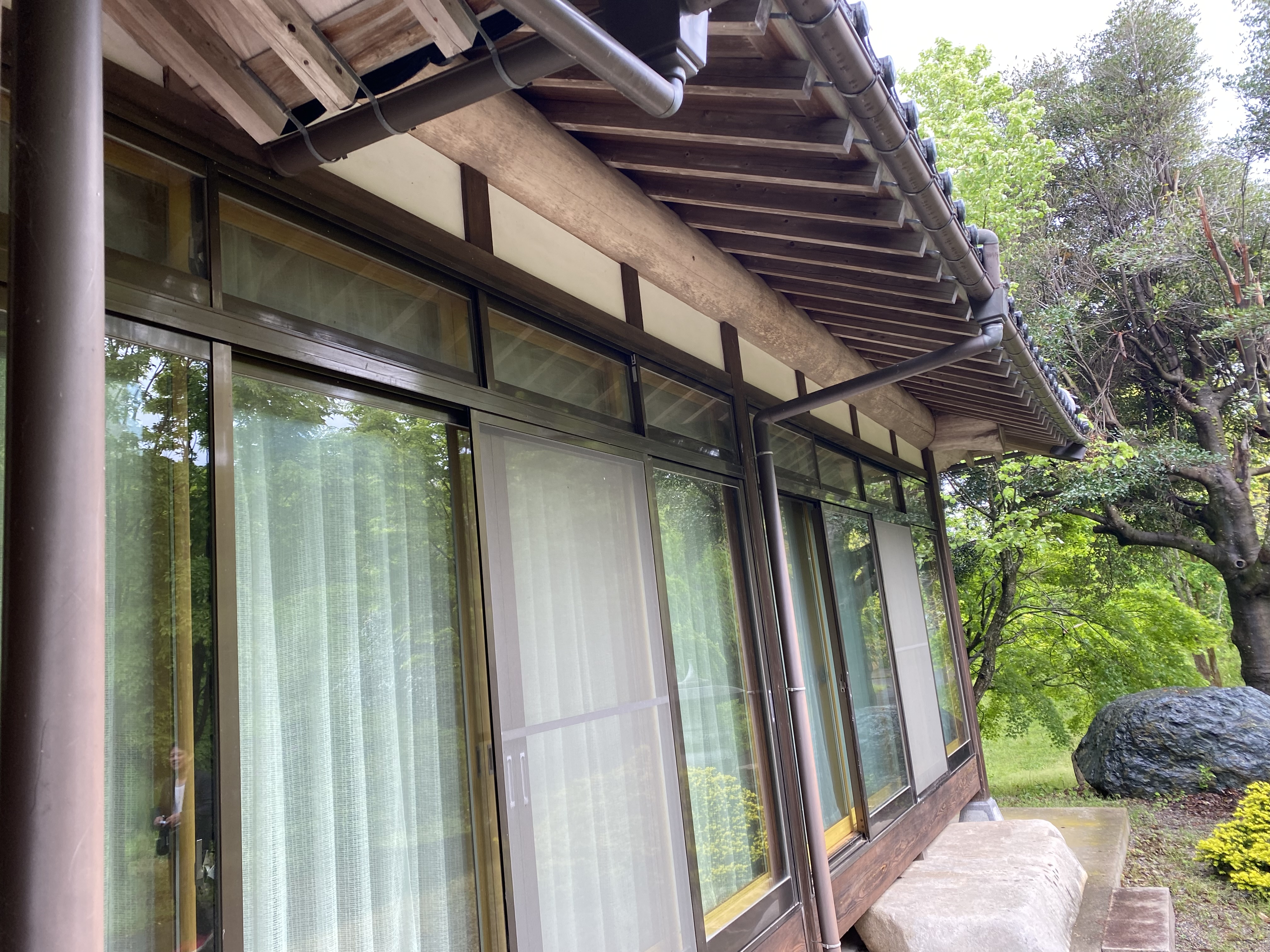 楽しい1日の画像 6
