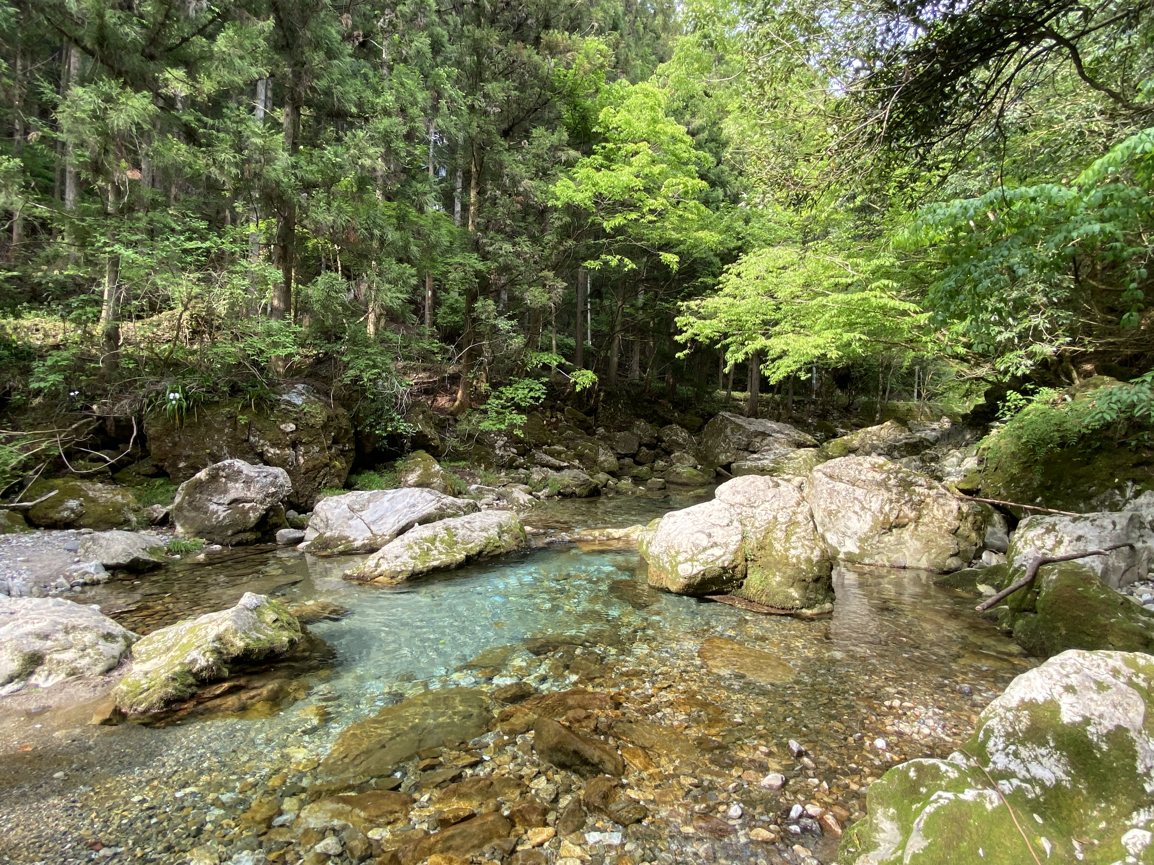 楽しい1日の画像 8