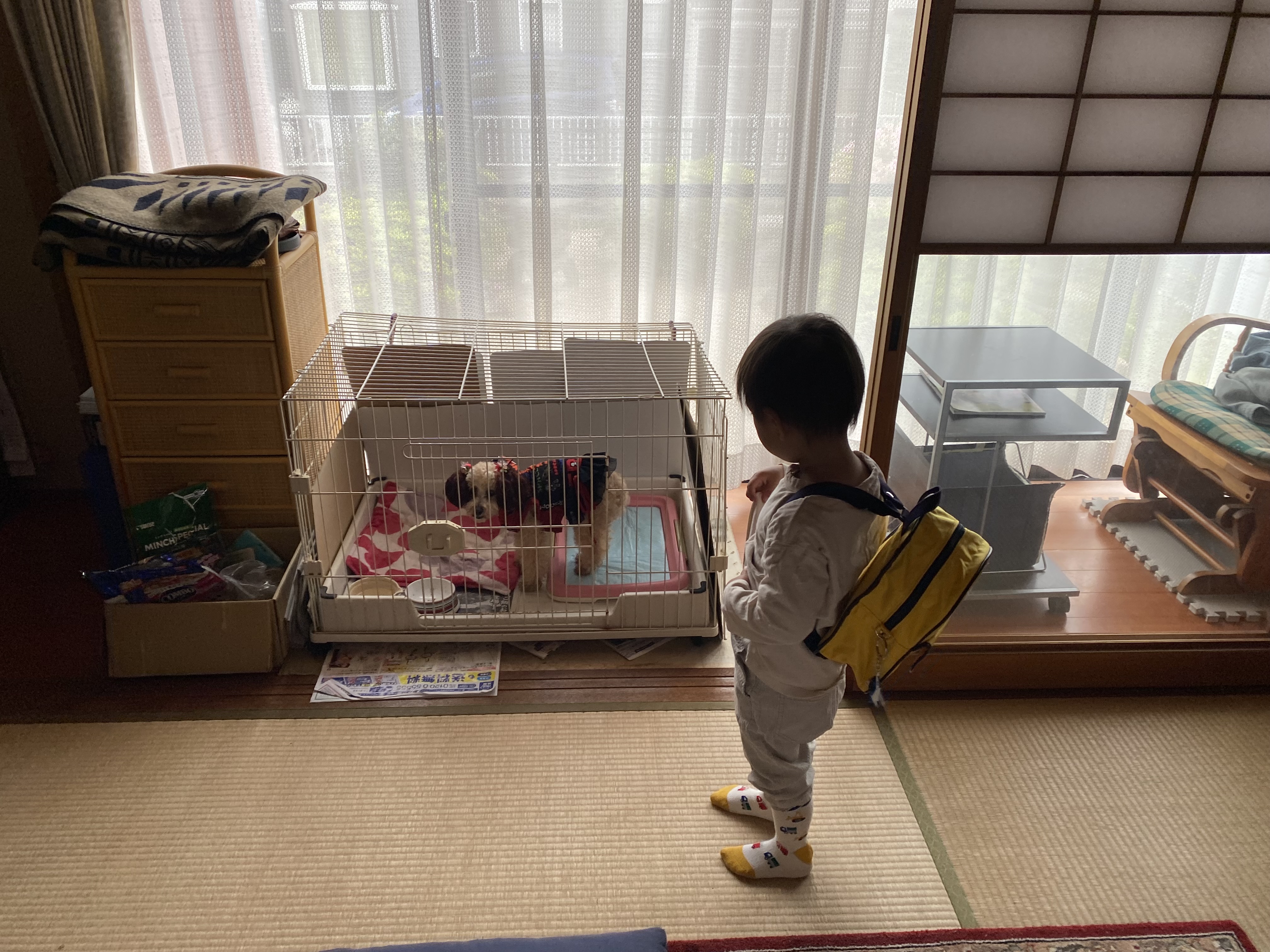 楽しい1日の画像 3